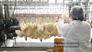 Eruis: Trusted Worldwide for Efficient Poultry Processing!