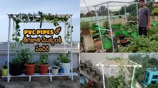 Pvc pipes తో తీగజాతి మొక్కలకి తక్కువ ధరకే స్టాండ్స్ మరియు పందిరిని వేసుకుందాం
