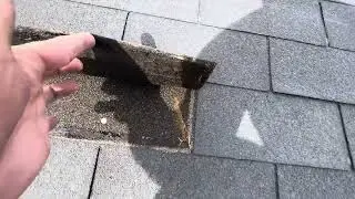 Maryland companies painting shingles is this a good idea ?