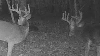 Thanksgiving Weekend Hunt (Jaw-Dropping Scenery!)