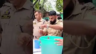 DC Kulgam along with Kulgam police.