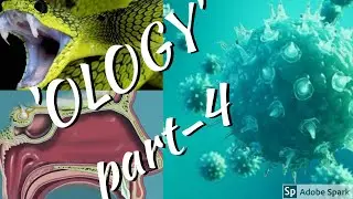 KERALA PSC GENERAL SCIENCE MOST REPEATED QUESTIONS LDC VEO KARNATAKA PSC EXAMS  BIOLOGY QUESTIONS #7