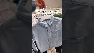Shopping at H&M for my cat 🛍️#hmhaul #clothinghaul #hmhaul2023 #mainecoon #catlover #shorts #spring