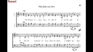 4 - Hai dato un cibo