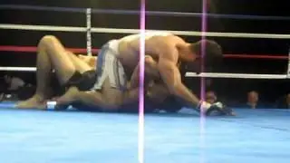 WRECK MMA QUICK HITS