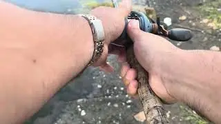 Quantum Smoke X Reel Meets Scum Frog: Almost Landed a Giant Bass!