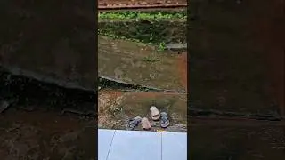 His sandals are wet #trendingshorts