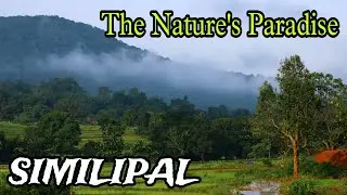 SIMILIPAL NATIONAL PARK| JAMUANI NATURE CAMP| DOCUMENTARY|MAYURBHANJ MIRROR