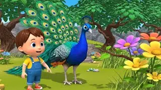 Little Peacock Lost His Shiny Feather 🦚 | Nursery Rhymes for Kids & Baby Songs