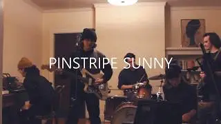 Pinstripe Sunny - Paleontologist