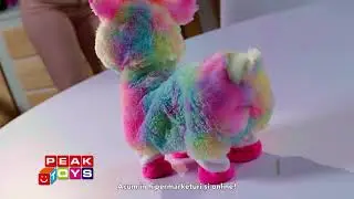 Plus Lama Rainbow Curcubeu