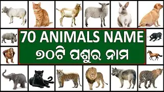 Animals Name || Animals Name in English || Animals Name in English_Odia || ୭୦ ଟି ପଶୁର ନାମ