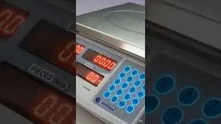 electronic Digital weighing weight scale machine vajan kata Ballace tarazu weighbridge automation