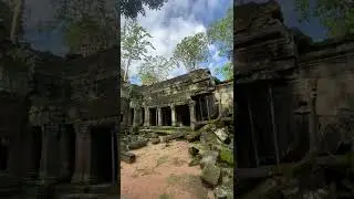 Ruin of Ta Prohm Temple, invideo tour