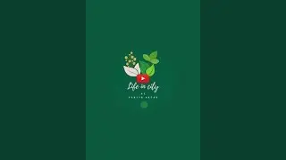 Life in city is live!