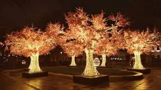 WTFuture Ep 2: Bioluminescent Trees