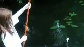 Fastest catch ever!