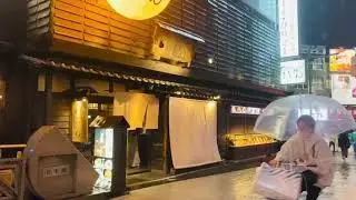 Tsuru Ton Tan Osaka つるとんたん One of the best udon noodle dishes in Japan