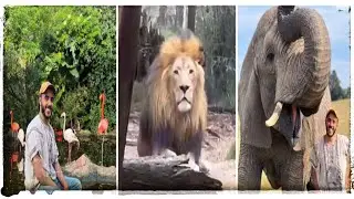هل الاسد يعتبر الانسان وجبة ؟ 🦁 معلومات عن الحيوانات تغطية عن حديقة الحيوانات في جنوب افريقيا