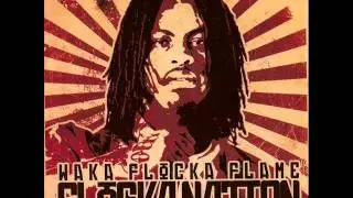 Waka Flocka Flame-Hi Jackin' Planes (New 2011) (Triple F Life)