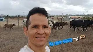 Meu primo vizinho tem vários vacas 