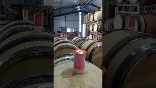 Listen to the rhythm of fermentation!@takaki_folium #wineinspires #wine #fermentation #winebarrel