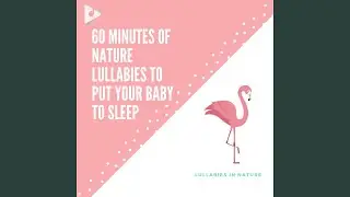 Hickory Dickory Dock with Calm Birds Singing (Classical Piano Instrumental)