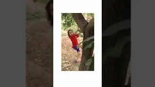 dristi climbing on tree |raginitv|#raginitv
