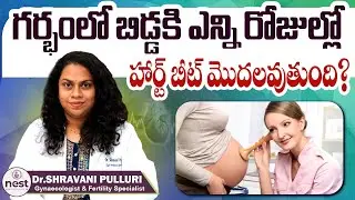 గర్భంలో బిడ్డకి హార్ట్ బీట్ || When Heartbeat Start in Pregnancy in Telugu || Nest Fertility