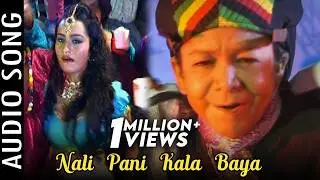 Nali Pani Kala Baya | Audio Song | Kichi Khata Kichi Mitha | Odia Movie | Pupinder | Gungun
