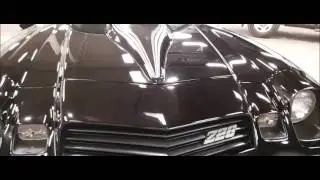 Ming Shine Paint Protection - 1981 Camaro Z28
