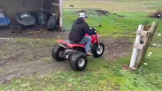 Honda atc350x