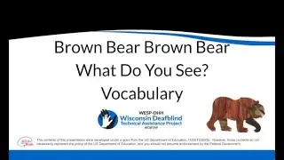 Brown Bear Brown Bear Vocabulary Video