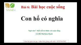 B&agrave;i giảng con hổ c&oacute; nghĩa của Vũ Trinh ngữ văn 7 s&aacute;ch kết nối