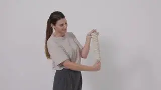 Baby Hammock｜Moonboon