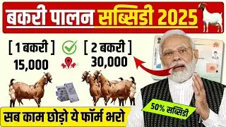 'Bakri Palan Loan 2025: Goat Farming Business Loan Scheme 3 Lakh to 50 Lakh -complete guide