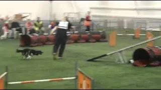 Finnish Championships 2014 for Junior-, Senior- and Para-agility handlers.