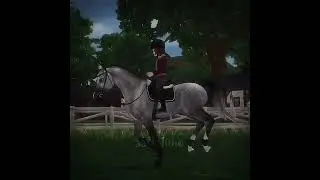 NEW PROJECT HORSE