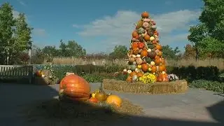 Pumpkin Display At Arboretum Boasts Hundreds Of Varieties