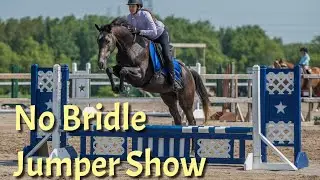 Thoroughbred Training: Bridleless jumping show