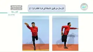 الإرسال من فوق الشبكة في كرة الطائرة (11) - تربية بدنية - سادس ابتدائي فكري 6