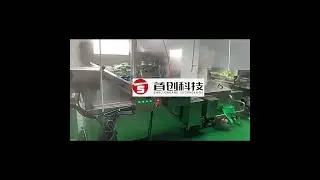 Automatic Fruit Vegetable Washing Cutting Blanching Drying Machine Agricultural Food Production Line