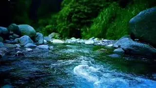 Soothing River Stream with Evening Ambience for Deep Sleep & Anxiety Relief