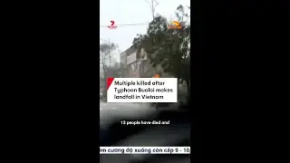 Multiple killed after Typhoon Bualoi makes landfall in Vietnam