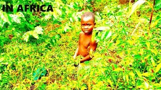 Village life Africa //African Americans, Here is what you are missing!