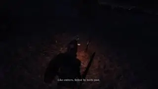 DARK SOULS&trade; III The End of Fire Ending + credits