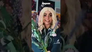 Here is a Magnus Chase TikTok comp for you