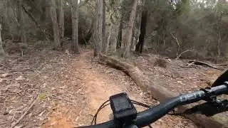 Wild Mersey Trails