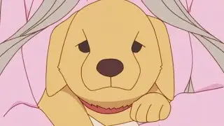 Kakushigoto but only non-repeating family dog scenes