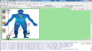 Ensuring QoS in Wireless Body Area Network Projects